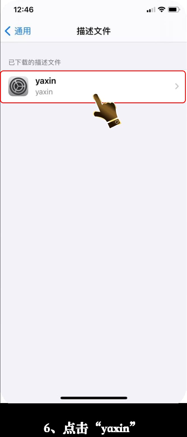亚星iOS客户端安装步骤示意图6